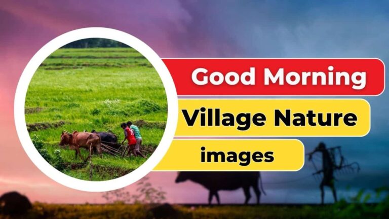 67+ VILLAGE GOOD MORNING